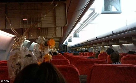 Hình ảnh trên máy bay. Ảnh: Dailymail