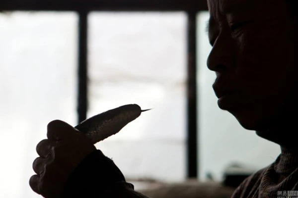 Nuôi hơn 20 con rắn trong nhà 'làm bạn' suốt 30 năm ảnh 3