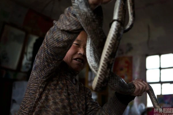 Nuôi hơn 20 con rắn trong nhà 'làm bạn' suốt 30 năm ảnh 2