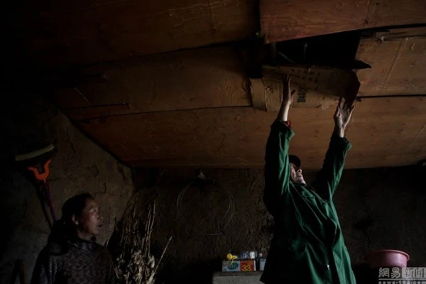 Nuôi hơn 20 con rắn trong nhà 'làm bạn' suốt 30 năm ảnh 7