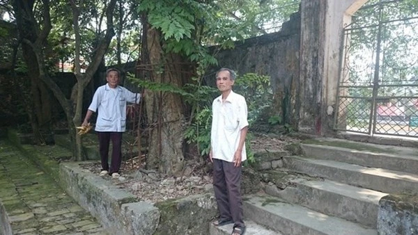 Người dân thay phiên nhau “canh gác” 2 gốc sưa tiền tỷ ảnh 2