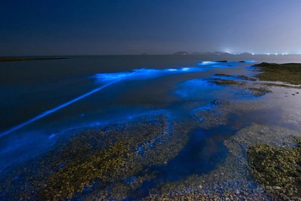 Bờ biển sáng xanh kỳ lạ ở Trung Quốc ảnh 1