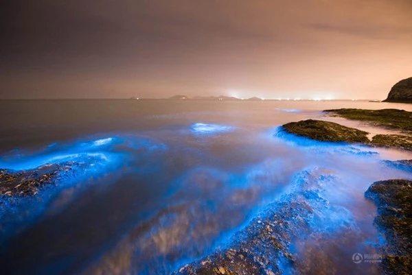 Bờ biển sáng xanh kỳ lạ ở Trung Quốc ảnh 3