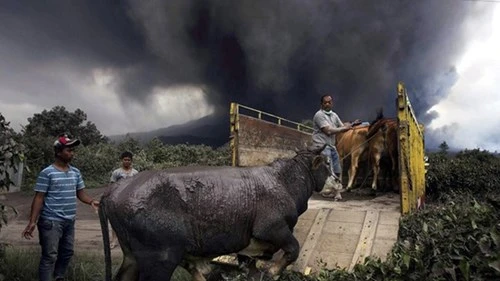 Indonesia: Núi lửa lại phun trào như ngày tận thế - ảnh 7