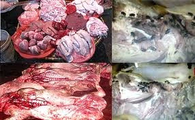 Giao lưu trực tuyến: Cách nhận biết thực phẩm độc hại ảnh 1