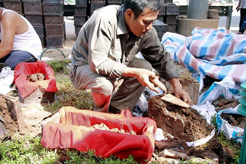 Phát hiện gần 200 bộ hài cốt trước cổng trường Đại học ảnh 1