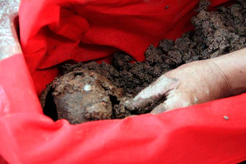 Phát hiện gần 200 bộ hài cốt trước cổng trường Đại học ảnh 6