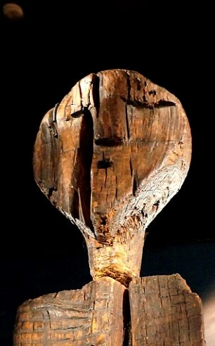 Bí ẩn tượng gỗ 11 vạn năm không mục nát - ảnh 3