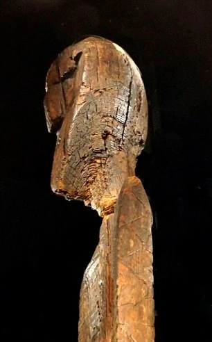 Bí ẩn tượng gỗ 11 vạn năm không mục nát - ảnh 4