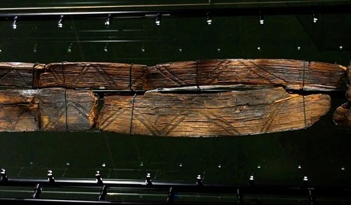 Bí ẩn tượng gỗ 11 vạn năm không mục nát - ảnh 5