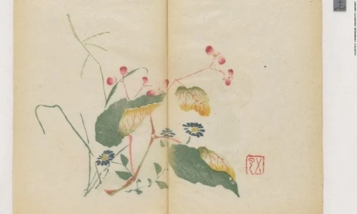 Cổ thư in màu vẹn nguyên kỳ lạ suốt 300 năm ảnh 10 Cổ thư in màu vẹn nguyên kỳ lạ suốt 300 năm - ảnh 10