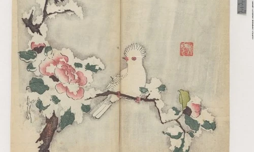 Cổ thư in màu vẹn nguyên kỳ lạ suốt 300 năm ảnh 1 Cổ thư in màu vẹn nguyên kỳ lạ suốt 300 năm - ảnh 1