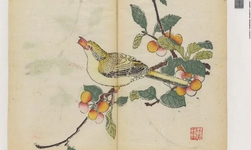 Cổ thư in màu vẹn nguyên kỳ lạ suốt 300 năm ảnh 4 Cổ thư in màu vẹn nguyên kỳ lạ suốt 300 năm - ảnh 4