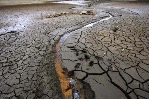 El Nino đang phát triển mạnh hơn cả “thời điểm tồi tệ nhất“ ảnh 1