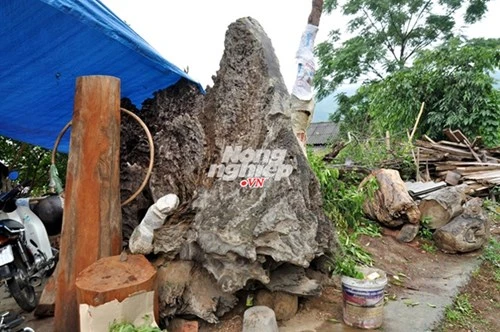 Săn báu vật gù hương trên núi Mào Gà - ảnh 3