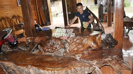 Anh Nhọt bên bộ bàn ghế bằng gốc gù hương quý giá. 