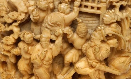 Loài chim có chiếc sừng quý hơn ngà voi - ảnh 2