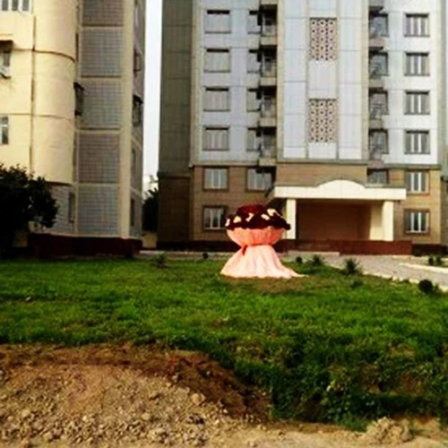 Trai trẻ si tình chi gần 80 triệu mua hoa tặng bạn gái - ảnh 1