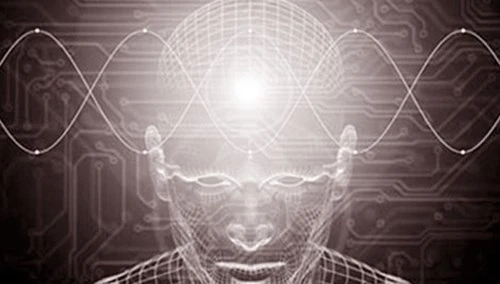 Vén màn bí ẩn về 'giác quan thứ sáu' của con người - ảnh 2