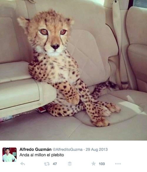 Cuộc sống xa hoa của con trai trùm ma túy El Chapo - ảnh 6