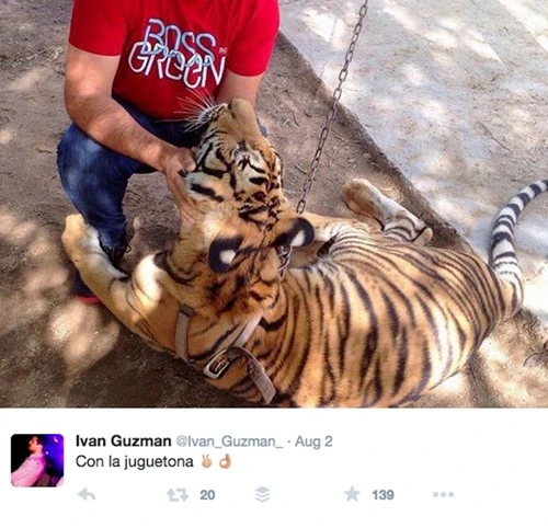 Cuộc sống xa hoa của con trai trùm ma túy El Chapo - ảnh 7