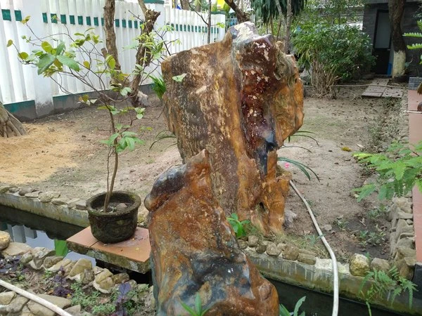 đại gia, quảng nam, nhà sàn, đá quý, báu vật, tiền tỷ, đồ cổ