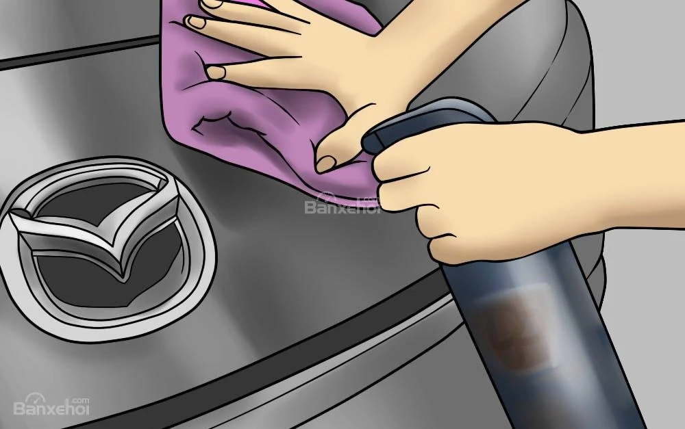 Bạn hãy xịt chất tẩy vết côn trùng trên những vị trí khó cọ rửa