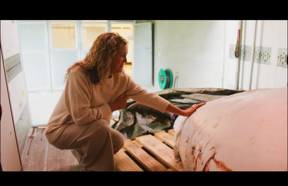 Cá voi trắng Hvaldimir.png