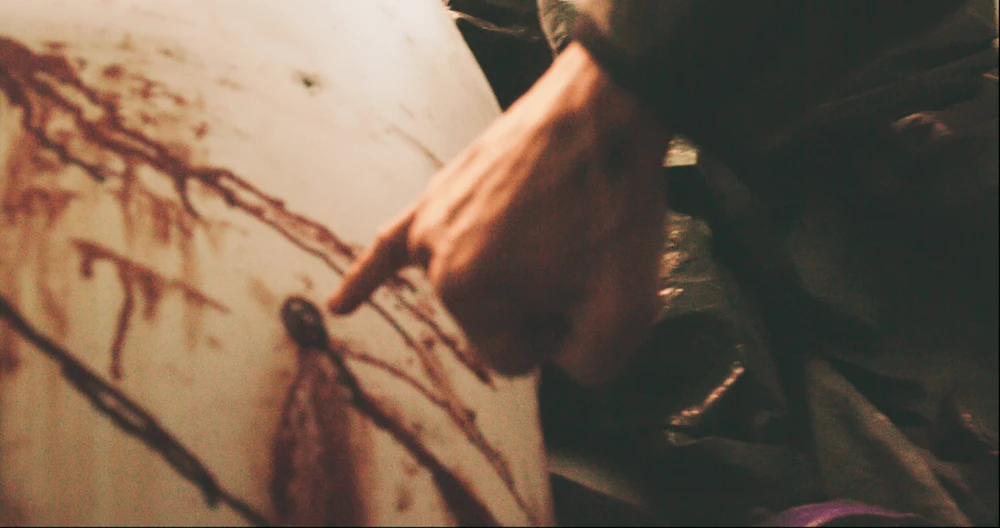 Vết đạn trên xác cá voi trắng Hvaldimir_2.png