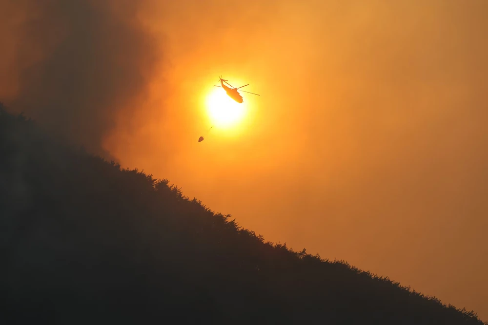 nỗ lực dập cháy rừng hoành hành ở đông nam Hàn Quốc.jpg