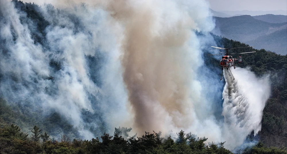 nỗ lực dập cháy rừng hoành hành ở đông nam Hàn Quốc.jpg