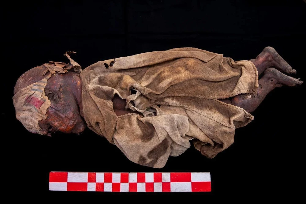 Hài cốt trẻ em trong khu mộ Ai Cập thời La Mã.jpg