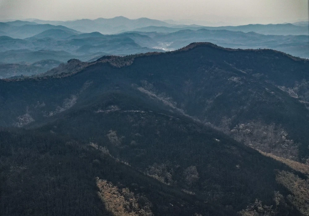 Rừng bị thiêu trụi do cháy rừng ở Hàn Quốc.jpg