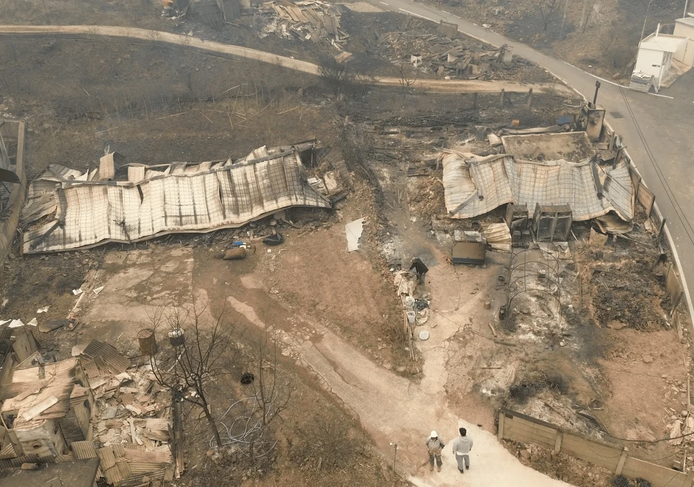 Thiệt hại do cháy rừng ở Hàn Quốc 26-3.png