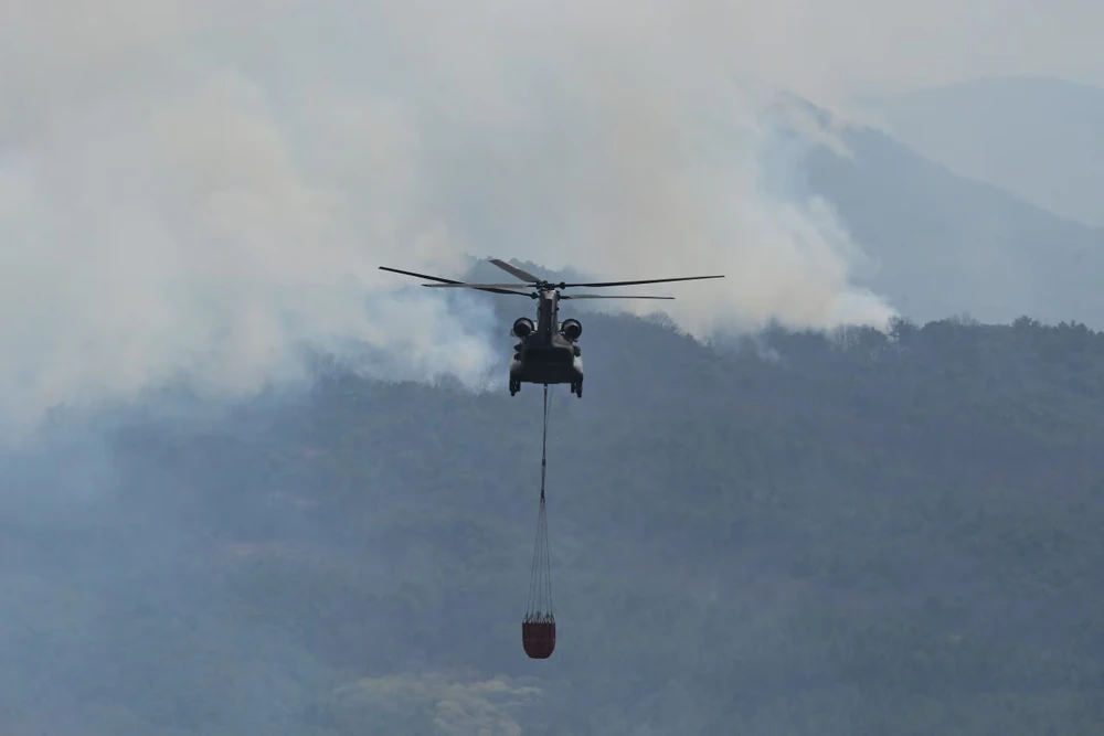Trực thăng nỗ lực dập cháy rừng ở Hàn Quốc.jpg