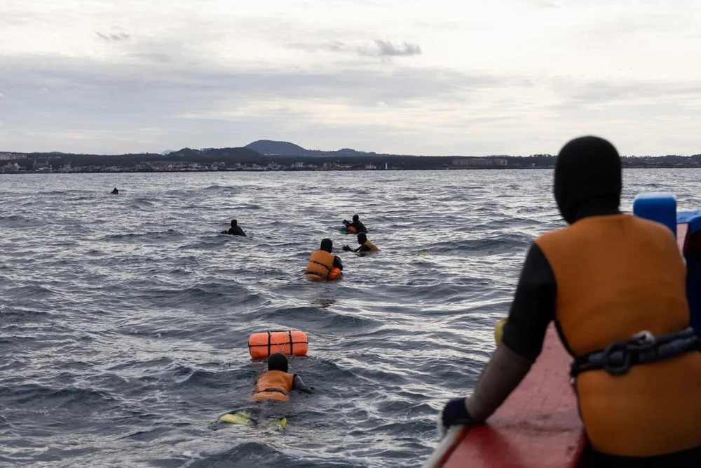 Mã gen lý giải khả năng lặn biển đáng kinh ngạc của các nữ thợ lặn haenyeo ở đảo Jeju_Bloomberg.jpg