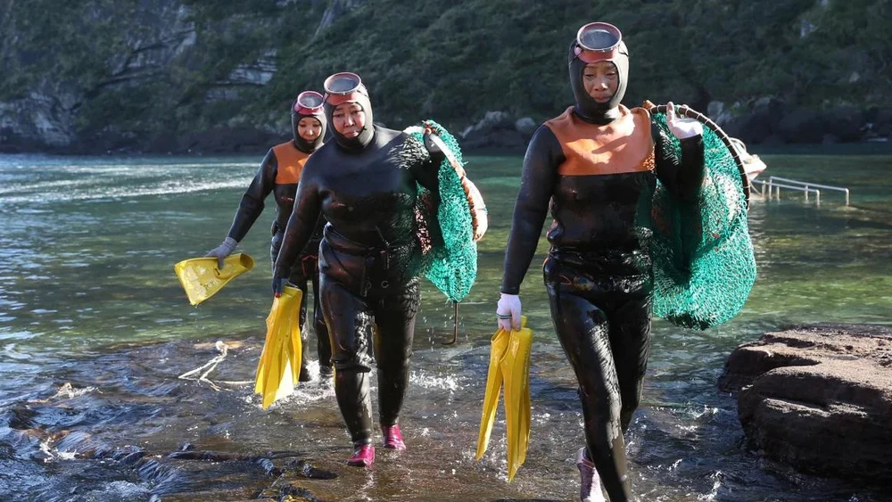 Mã gen lý giải khả năng lặn biển đáng kinh ngạc của các nữ thợ lặn haenyeo ở đảo Jeju THX.jpg