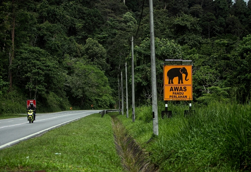 Cảnh báo voi hoang dã trên cao tốc JRTB.jpg