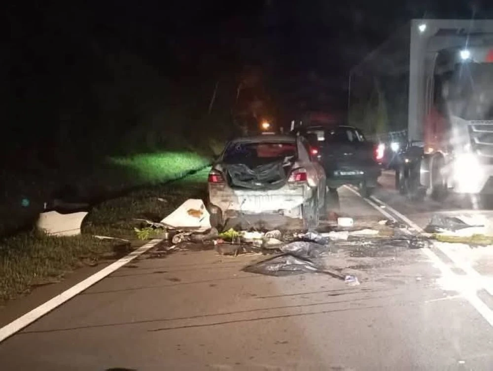 Ô tô bị voi hoang dã giẫm nát vì tiếng còi tai hại từ xe khác.jpg