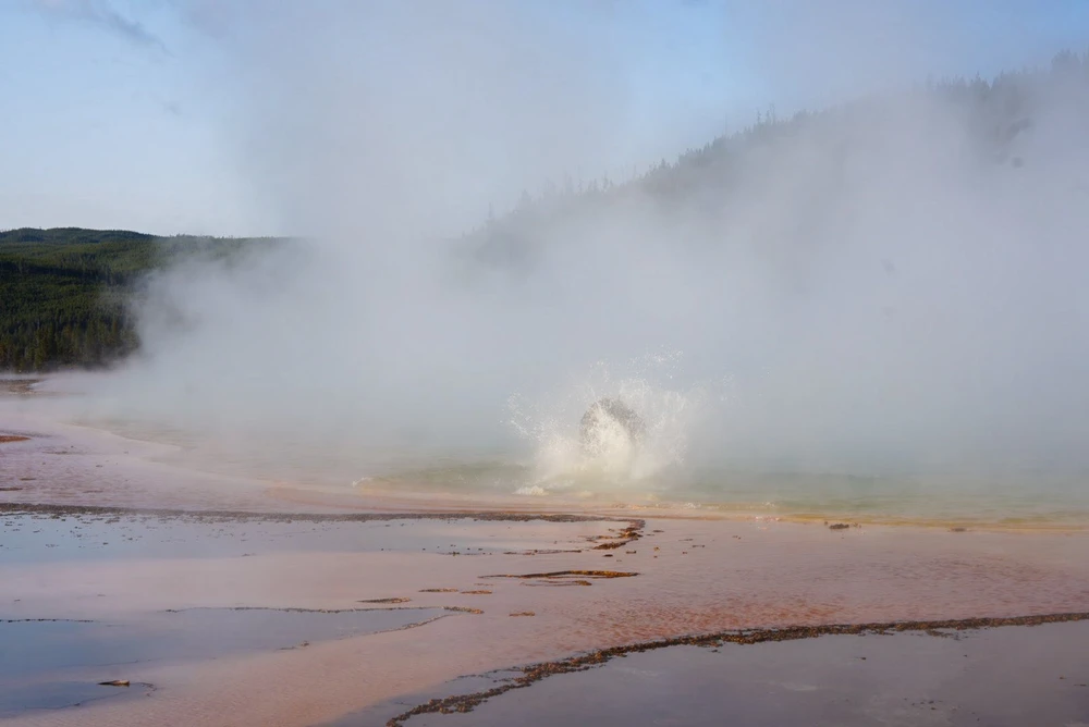 Bò rừng vùng vẫy tới chết dưới suối nước nóng ở Yellowstone_2.jpg