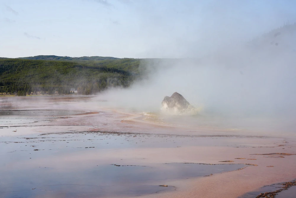 Bò rừng vùng vẫy tới chết dưới suối nước nóng ở Yellowstone_3.jpg
