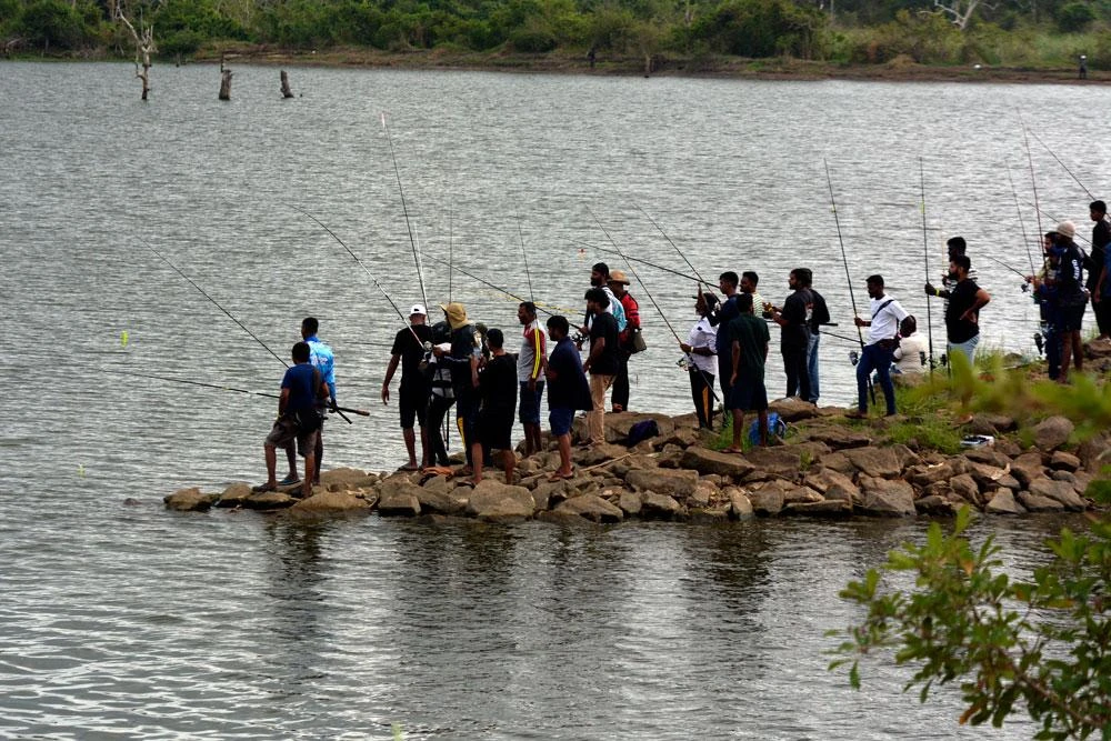 Cuộc thi câu cá lóc khổng lồ (cá lóc bông) ở Sri Lanka_1.jpg