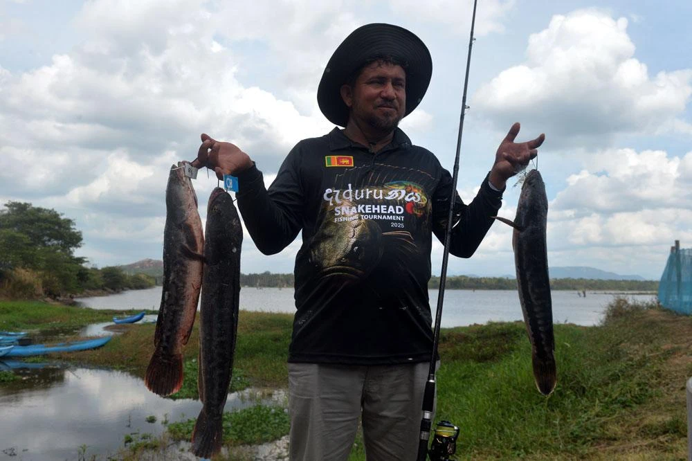 Cuộc thi câu cá lóc khổng lồ (cá lóc bông) ở Sri Lanka_thumb.jpg