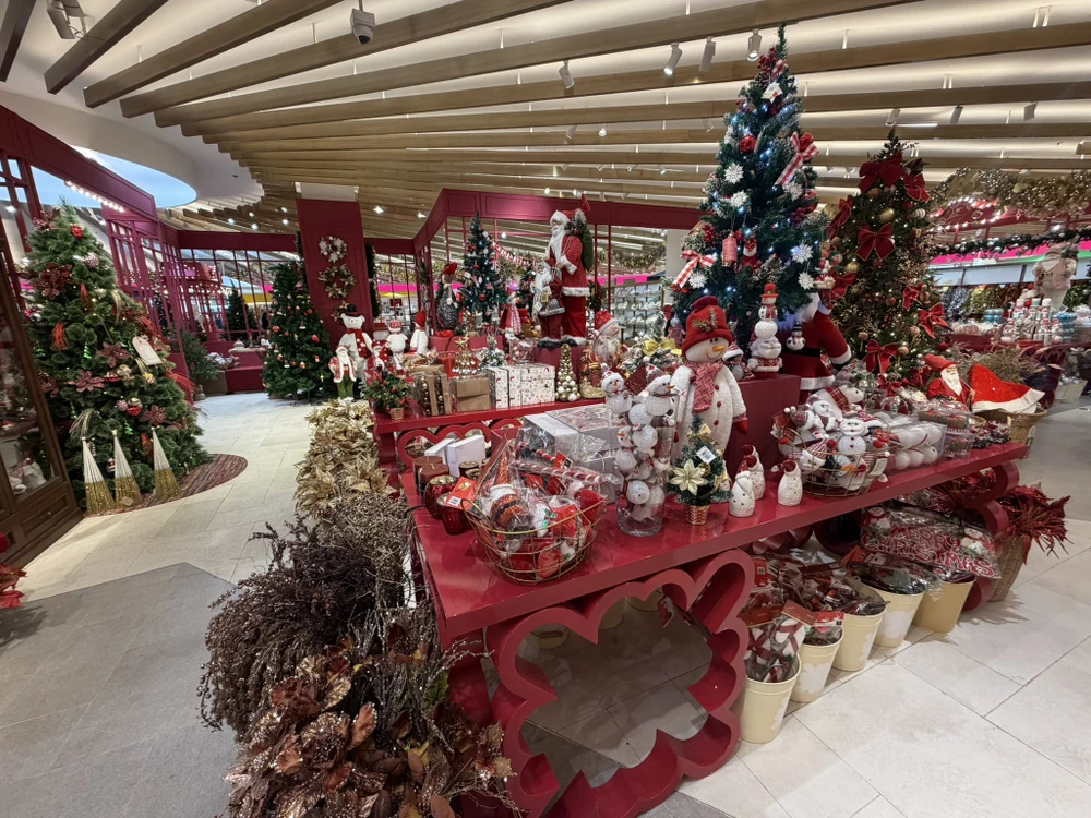 2412 Châu Á lung linh, sáng rực chào đón Giáng sinh 2025_9.jpg