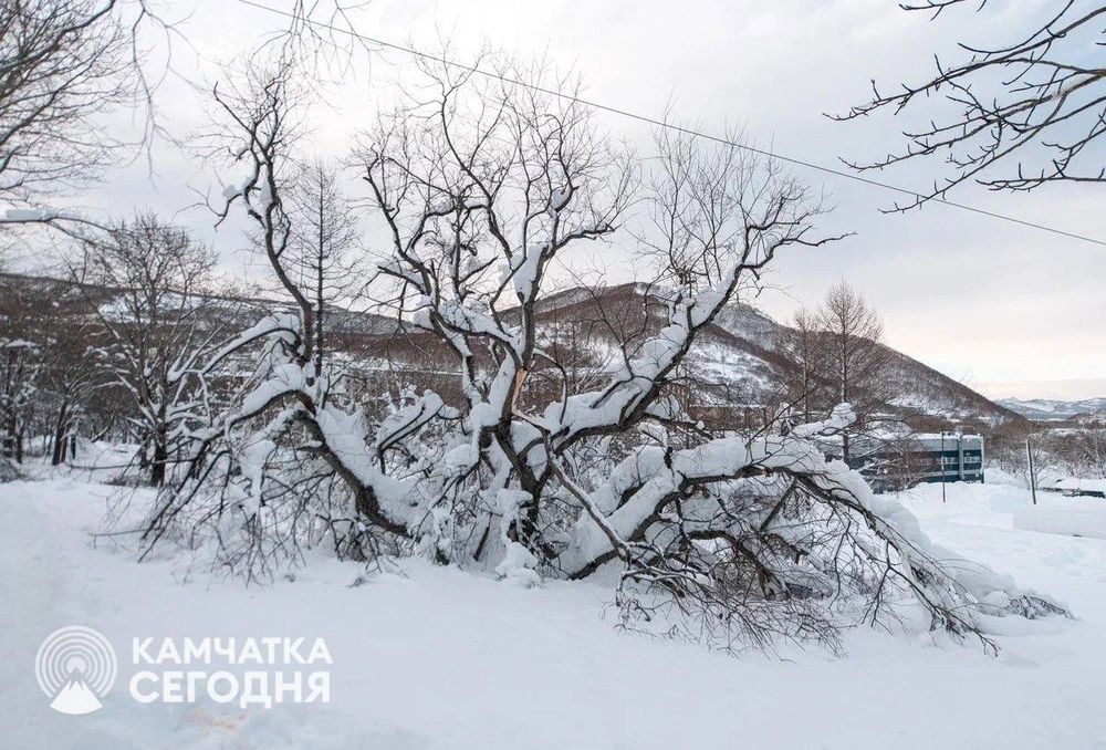 0202 Người dân Kamchatka, Nga vật lộn với lớp tuyết dày 3 m_5.jpg