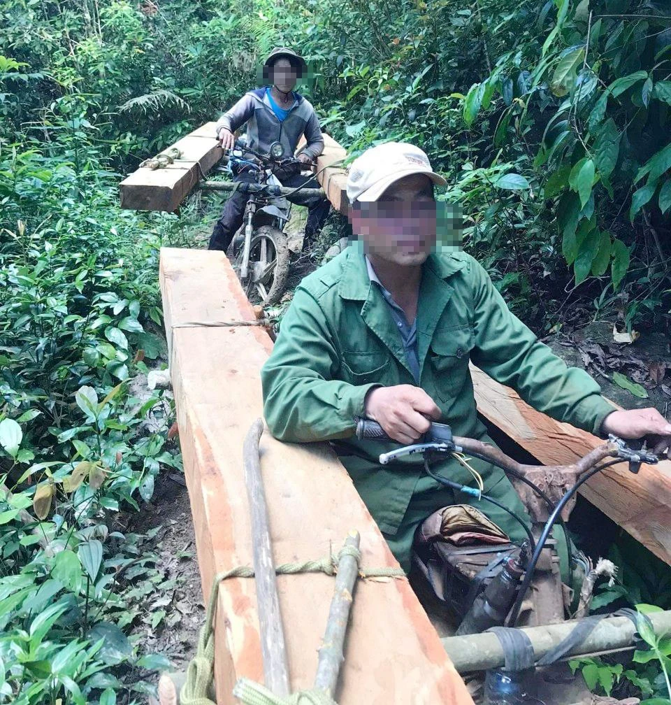 T và H bị lực lượng chức năng bắt giữ. Ảnh: CACC.