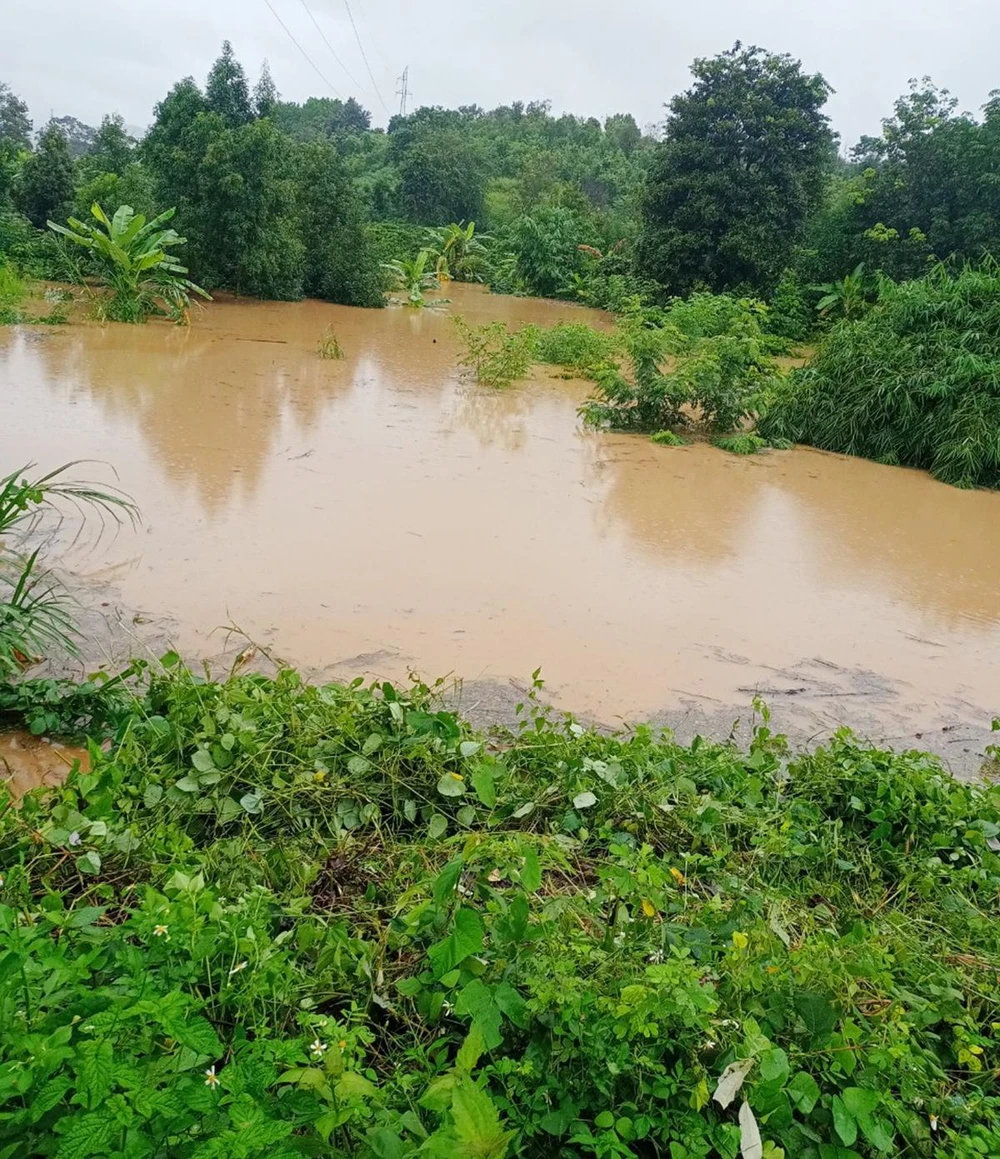 Thủy điện xả lũ gây ngập hoa màu của người dân. Ảnh: Xã Đắk Psi.
