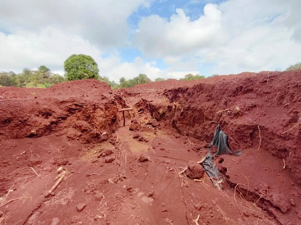 Sau vài cơn mưa lớn đầu mùa, bãi tập kết đất trái phép ngoài dự án sân golf bắt đầu trôi chảy vào rừng thông và có nguy cơ tràn xuống ruộng lúa của dân.