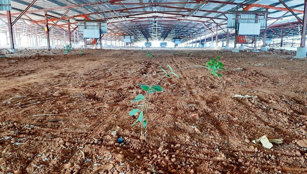 Rất nhiều công trình điện mặt trời mái nhà đi vào vận hành nhưng không có công trình nông nghiêp hay chăn nuôi phía dưới theo quy định. Ảnh: LK