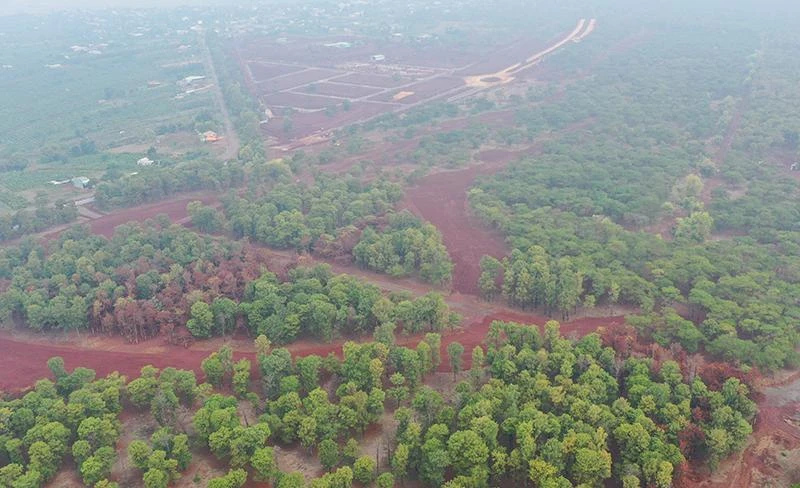 Rung-tho-tuyet-dep-San-golf-Dak-Doa 4.jpg